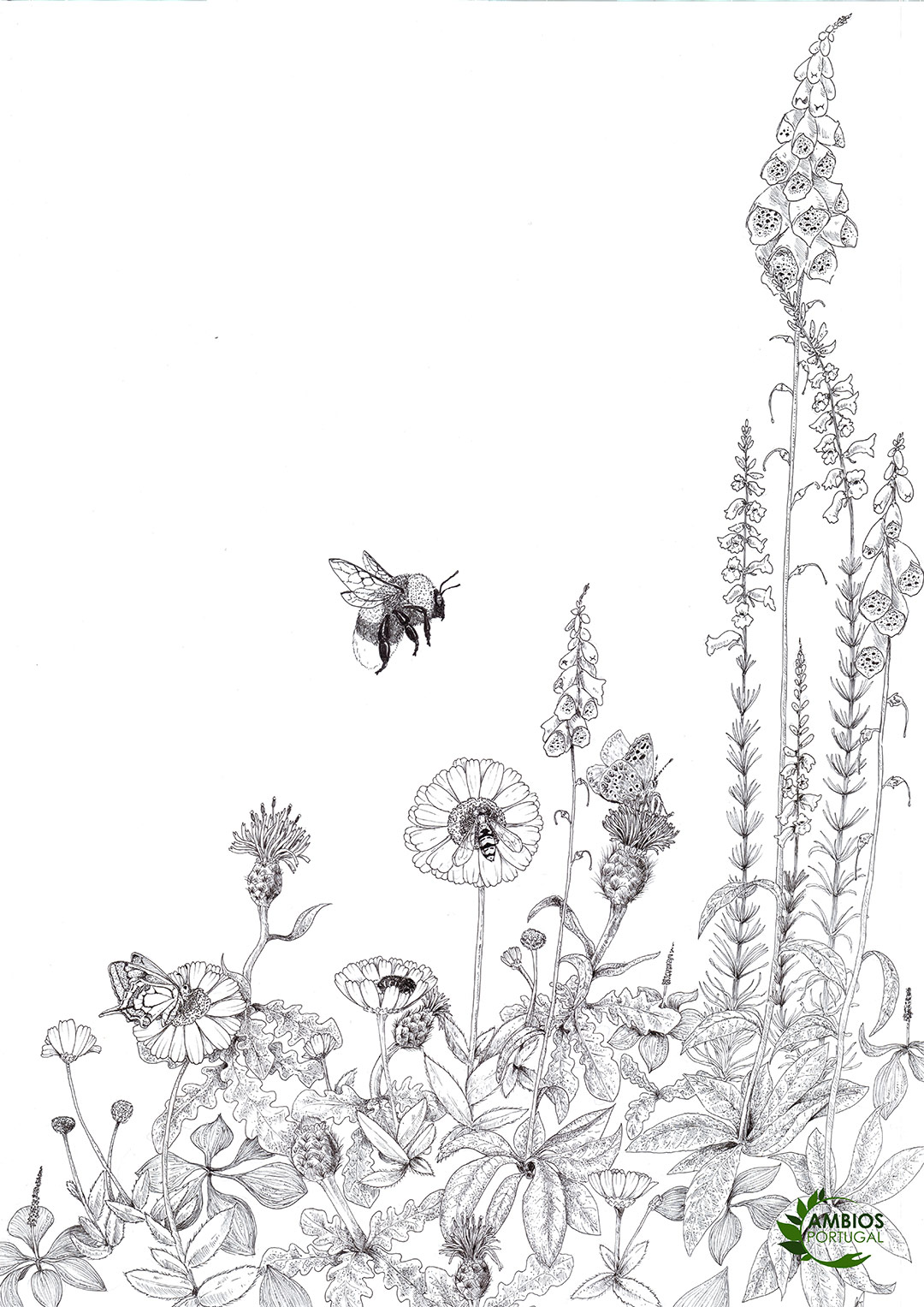 pollinators