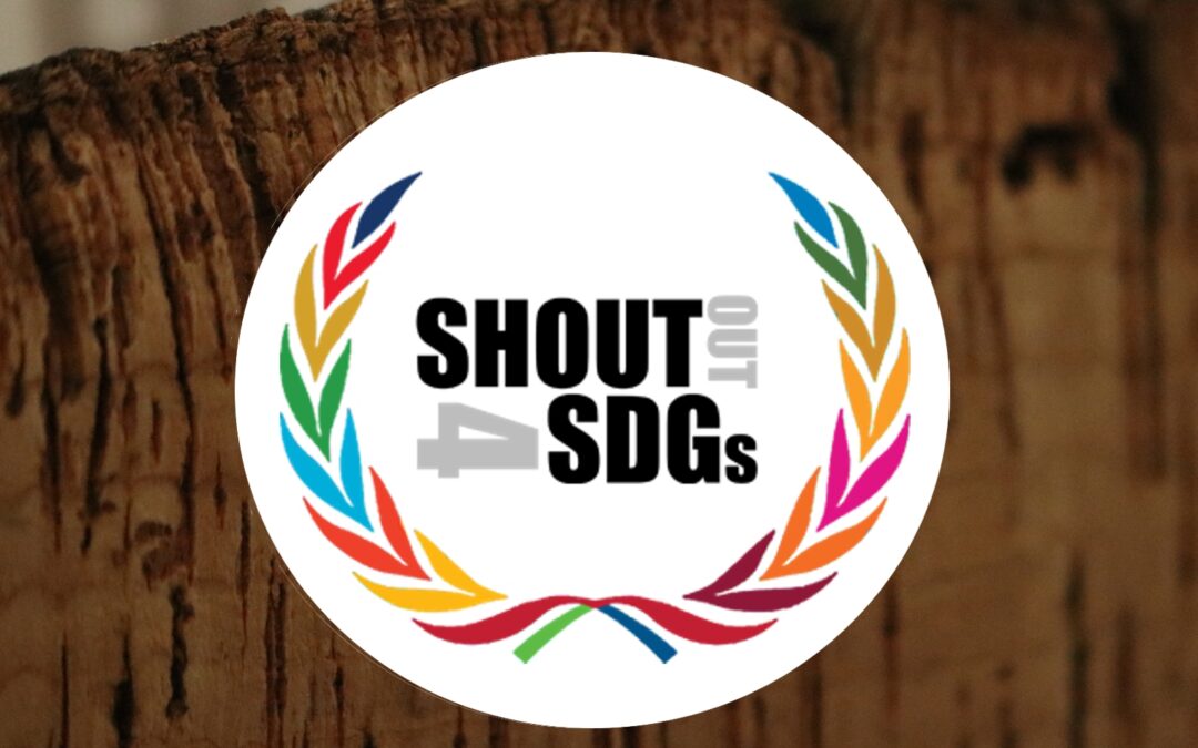 EUROPEAN COOPERATION FOR SOCIAL RESPONSIBILITY – SHOUTOUT4SDGS