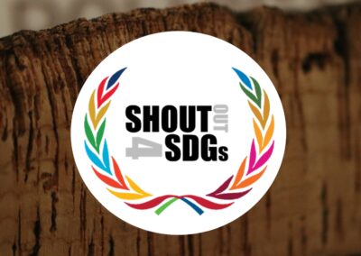 PARCERIAS PARA A COOPERAÇÃO NO SETOR DO ENSINO SUPERIOR – SHOUTOUT4SDGS