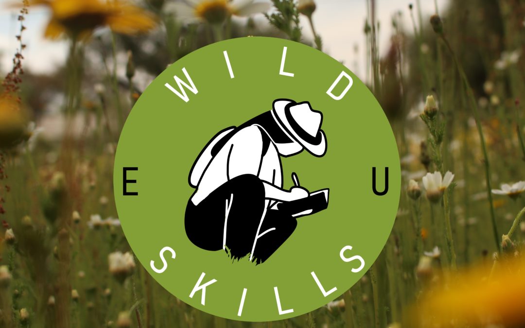 STRATEGIC PARTNERSHIPS FOR HIGHER EDUCATION – WILDSKILLS EU